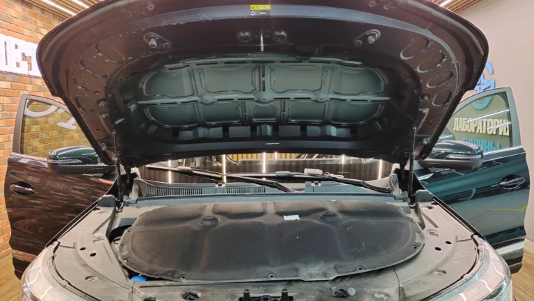 Chery Tiggo 8 Pro Max капот