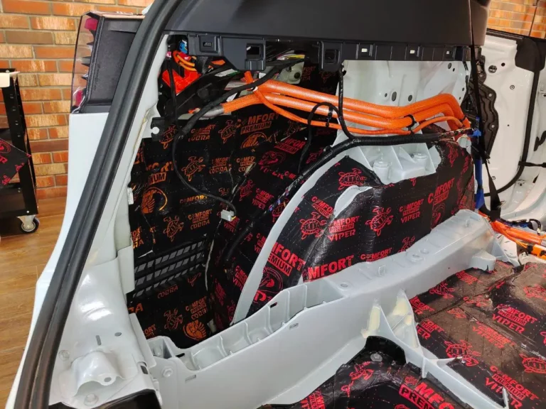 Tesla Model Y баг 5