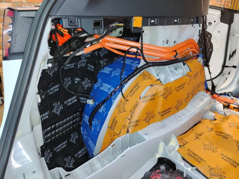 Tesla Model Y баг 6