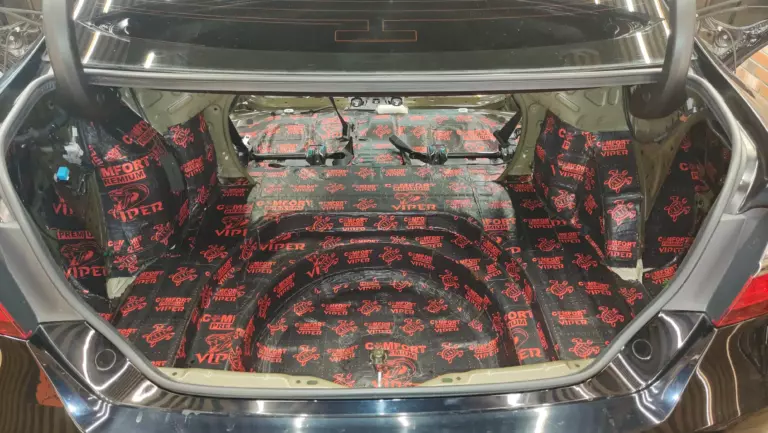 Toyota Camry баг 1